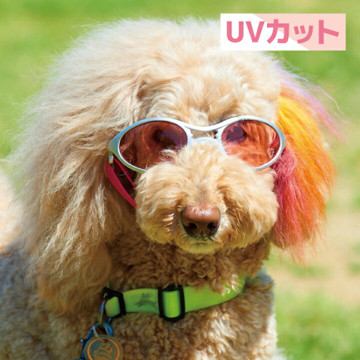楽天市場 在庫一掃アウトレットセール Oft ドグルズ サングラス ピンク 小型犬 大型犬 5サイズ展開 犬 ペット ドッグ ゴーグル サングラス アウトドア かわいい おしゃれ かっこいい アクティブ スポーツ ドライブ 超小型犬 小型犬 中型犬 大型犬 Oft Store