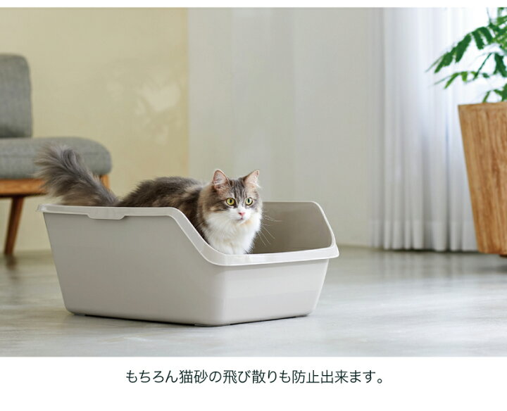 楽天市場】HY cat ラージ グレー / トイレ本体 トイレ容器 猫 ねこ 猫トイレ ねこトイレ ねこ用トイレ キャットトイレ 猫用 ねこ用 スプレー対策 飛び散り 飛散防止 飛散ガード 深い 深め 高い 高め 洗いやすい 水洗い 丸洗い可能 お手入れ簡単 : OFT STORE 楽天市場店 楽天市場】HY cat ラージ グレー / トイレ本体 トイレ容器 猫 ねこ 猫トイレ ねこトイレ ねこ用トイレ キャットトイレ 猫用 ねこ用 スプレー対策 飛び散り 飛散防止 飛散ガード 深い 深め 高い 高め 洗いやすい 水洗い 丸洗い可能 お手入れ簡単 : OFT STORE 楽天市場店