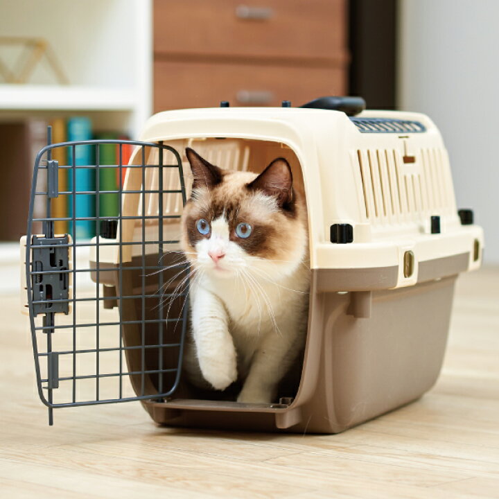 楽天市場 Oft ペットケンネル ファーストクラス トップオープン L50t おしゃれ おすすめ ランキング 超小型犬 猫 小動物 ハードキャリー コンテナ クレート 上扉 クリア キャリー 犬 猫 ペット 犬用 猫用 ペット用 ペット用キャリー Oft Store 楽天市場店