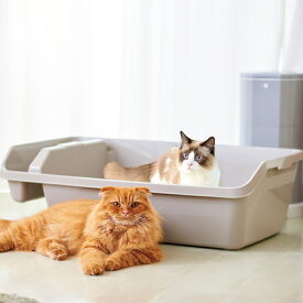 楽天市場 猫 トイレ 超大型の通販