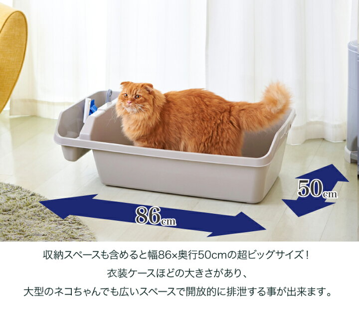 楽天市場 アウトレットセール Hy Rex ハイレックス送料無料 北海道 沖縄 離島等除く 大型 大きい 猫 ネコ ねこ トイレ 多頭 ビッグ 大容量 オープン おしゃれ 人気 Oft Store 楽天市場店