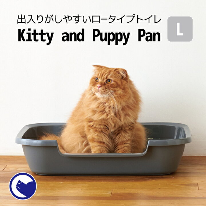 楽天市場 Oft Kitty And Puppy Pan L 猫 ネコ キャット トイレ 仔猫 老猫 低め スターター 足腰 おすすめ Oft Store 楽天市場店