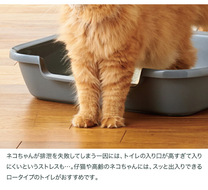楽天市場 Oft Kitty And Puppy Pan L 猫 ネコ キャット トイレ 仔猫 老猫 低め スターター 足腰 おすすめ Oft Store 楽天市場店 楽天市場 Oft Kitty And Puppy Pan L 猫 ネコ キャット トイレ 仔猫 老猫 低め スターター 足腰 おすすめ Oft Store 楽天市場店