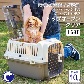 楽天市場 コンテナ 人気ランキング1位 売れ筋商品