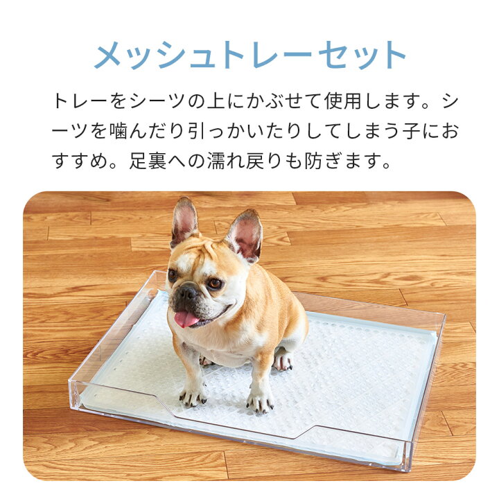 楽天市場】【ポイント2倍 7/18-8/8】 【ペットシーツ40枚プレゼント中 