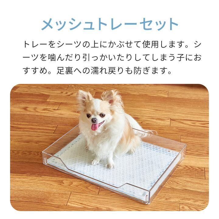 楽天市場】【OFT】 【専用クリーナープレゼント中】クリアレット2(S  