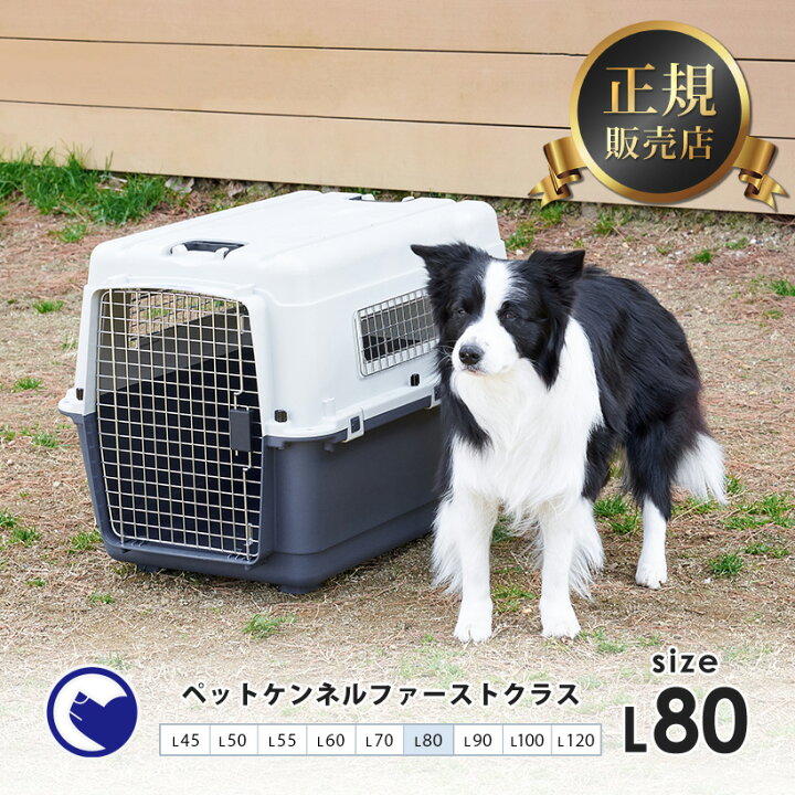 楽天市場 夏祭りセール 8 15まで ペットケンネル ファーストクラス L80 外寸 幅55 5 奥80 高59cm 本体重量 約 6 4kg おすすめ クレート 飛行機 大型犬 多頭用 ハードキャリー コンテナ クレート 送料無料 北海道 沖縄 離島等除く Oft Store 楽天市場店 楽天市場 夏祭りセール 8 15まで ペットケンネル ファーストクラス L80 外寸 幅55 5 奥80 高59cm 本体重量 約 6 4kg おすすめ クレート 飛行機 大型犬 多頭用 ハードキャリー コンテナ クレート 送料無料 北海道 沖縄 離島等除く Oft Store 楽天市場店