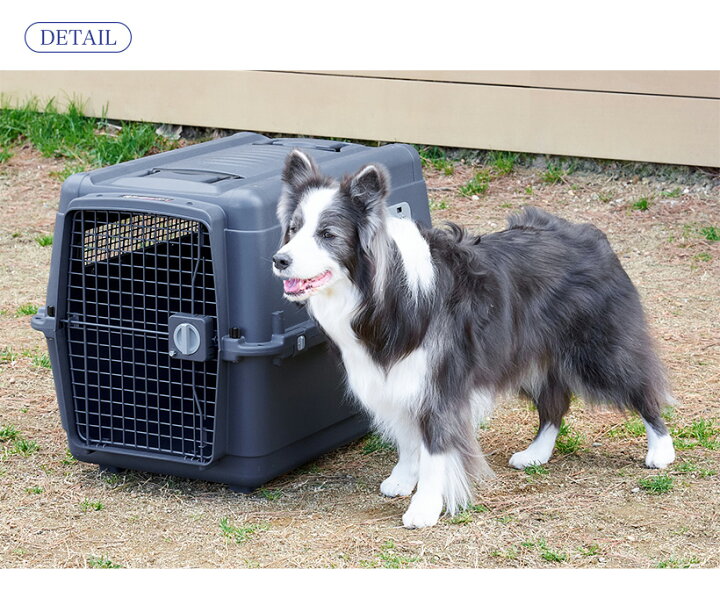 市場 アウトドアフェア特価 ペットケンネル 小型犬 L80 中型犬 18まで おしゃれ ブラックエディション ファーストクラス 7 大型犬 おすすめ