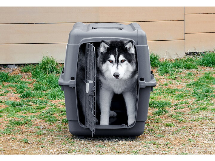 市場 アウトドアフェア特価 おすすめ 7 ファーストクラス 小型犬 おしゃれ 大型犬 中型犬 ペットケンネル L70 ブラックエディション 18まで