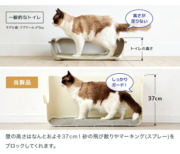 楽天市場】TALL WALL BOX - XL Plus / 猫 猫用 ネコ ねこ用 トイレ 猫トイレ ねこトイレ キャットトイレ トイレ本体 大容量 大きい 大きめ 大型 大型猫 大型ネコ スプレー対策 飛び散らない 飛び散り 飛散ガード 深め 深い 深型 高め 丸洗い可能 洗いやすい 楽天市場】TALL WALL BOX - XL Plus / 猫 猫用 ネコ ねこ用 トイレ 猫トイレ ねこトイレ キャットトイレ トイレ本体 大容量 大きい 大きめ 大型 大型猫 大型ネコ スプレー対策 飛び散らない 飛び散り 飛散ガード 深め 深い 深型 高め 丸洗い可能 洗いやすい