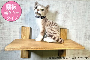 DIYLbg LbgXebvy cat-stbz LbgEH[N Lbg^[ Ǖt I  L ˂ ȃXy[X u[_[  یL ^L X RpNg DIY@STANDBAR