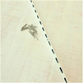 【ホワイト】 ロイヤル社 チャンネルサポート 棚板板可動タイプ・棚柱 長さ120センチ 【1本】 (専用ビス7個付属) ASF－1W