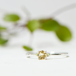 �V�g���� �����O SV925 �g���A �@CB051BS