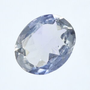 �o�C�J���[ �^���U�i�C�g ���[�X �V�R�� SAK179-28BS