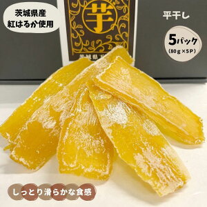  Y Mtg z^_ Đ\Ȏ ،Y 5pbN  ϔ g͂邩 Y  Zbg  5pbN  Mtg ϔ g͂邩 Y  ܂