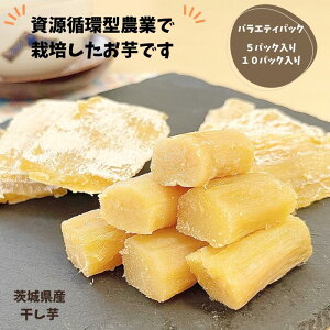  Y Mtg z^_ Đ\Ȏ ،Y oGeB[Zbg 10 5 ؂藎Ƃ  ۊ ϔ g͂邩 Y   ܂ XC[c a