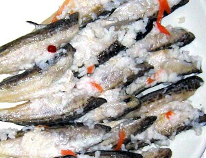 ͂͂юiiMYj800gy:11{`1{z