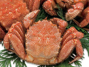 уKj() 800g×1kCYA}KYт