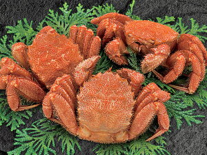 уKj(500g)×3kCYA}KYт