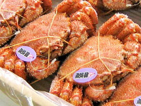 毛ガニ(約1kg)×4尾送料無料北海道雄武、枝幸産毛がに