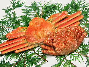 毛ガニ(450g)1尾ズワイガニ(500g)1尾セット送料無料 かにセット