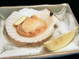 殻つきホタテ貝 24枚（8枚×3袋）送料無料 北海道産 ほたて貝