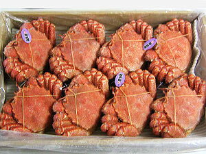 уKj(500g)×8kCYA}KYт