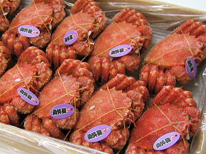 уKj(450g)×9kCYA}KYт