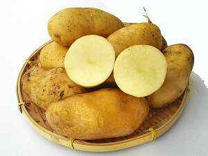 Ⴊ A| (M`Lj10KgyEYsz kCY WKCY so׎ 10`4