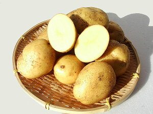 yEYszႪ Ȃ (M`Lj10KgkCY WKCY 10{Jn