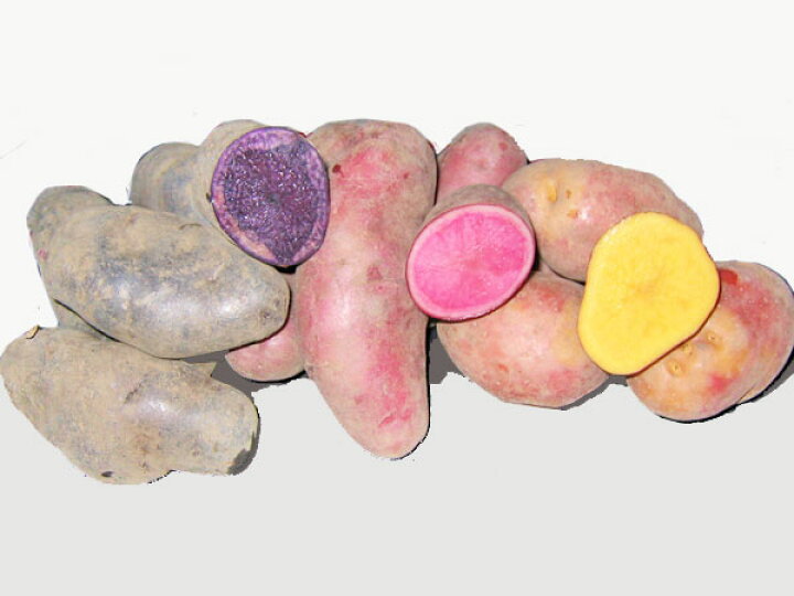 楽天市場 カラフルじゃがいも3種セット インカのめざめ ノーザンルビー シャドークィーン 各2kg 計6kg 送料無料 産直同梱不可 北海道産 ジャガイモ出荷時期 10 4月 北の逸品 北海道 楽天市場 カラフルじゃがいも3種セット インカのめざめ ノーザンルビー シャドークィーン 各2kg 計6kg 送料無料 産直同梱不可 北海道産 ジャガイモ出荷時期 10 4月 北の逸品 北海道