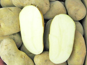 Ⴊ [NB (Lj5Kg kCY WKC9{Jn