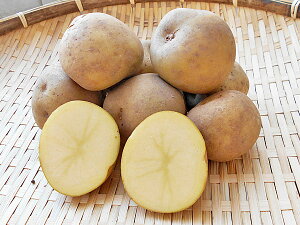 Ⴊ ނ (L^JC M`Lj5Kg kCY WKCY so׎ 10`4yꌧAꕔ͕ʓrǉ500~ZĂ܂Bz