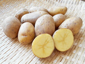 Ⴊ sJ (M`L) 10KgyEYszkCY WKCY so׎ 10`4yꌧAꕔ͕ʓrǉ500~ZĂ܂Bz