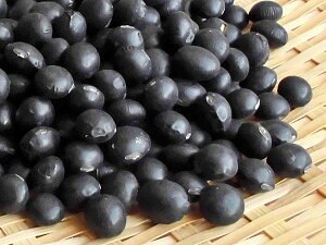 kC̍哤500g_CGbgEۑHɂ