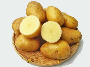 Ⴊ A[ (M`Lj5Kg kCY WKCY so׎ 10`4