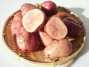 Ⴊ CJbh (M`Lj10Kg kCY WKCY so׎ 10`4