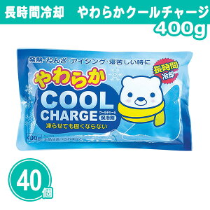 ԗp 炩N[`[W400g 40 ܂Ƃߔ Ђ łȂȂ ۗ { MǑ΍  ҏ N[_E ACVO M  AEghA X|[c mxeB ei 
