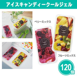 ACXLfB[N[WF 120 ܂Ƃߔ 2捬 ۗ  Jt N₩ ʐ^f ` Ђ  ҏ W[ ٓ ΍  mxeB v`Mtg 