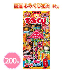 J^ ݂ԉ30g 200 莝ԉ ^ 肢 l^  j[N qǂ t@~[   ԉΑ q Lv   ii mxeB 蕨 ei LOi v[g v`M