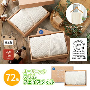 I[KjbN XtFCX^I 72 ܂Ƃߔ ϔ 290×750mm 100% i { n ei LOi ii mxeB v[g Mtg p  A Ɩp  