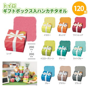 gC Mtg{bNXnJ`^Ii200×200mmj 120 ܂Ƃߔ 10F捬 Jt  ؂₩ fBXvC ~jTCY T v[g v`Mtg LOi ii ei  mx