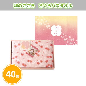 â oX^Ii600×1150mmj 40 ܂Ƃߔ ϔ Mtg ӂ K[[pC  sN ؂₩ t p T v[g v`Mtg LOi ii ei  mx