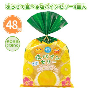 凍らせて食べる塩パインゼリー4個入 48個 まとめ買い 夏 熱中症対策 甘い 爽やか フルーツゼリー パイナップル おやつ 粗品 ノベルティ 景品 記念品 特典 御礼 賞品 プレゼント 販促 販売 配