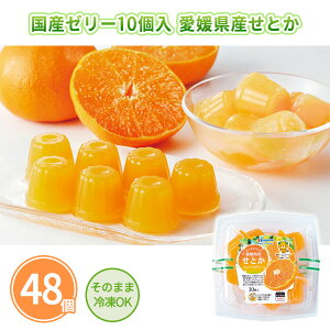 国産ゼリー10個入 愛媛県産せとか 48個 まとめ買い ひとくちゼリー 冷凍OK 夏 みかん 柑橘 フルーツゼリー デザート おやつ 粗品 ノベルティ 景品 記念品 特典 御礼 賞品 プレゼント 販促 販売