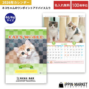 2026N uLbc[hv 100  Ǌ|J_[ 2^Cv 킢 L ʐ^ ybg bg ܂Ƃߔ ̑ c NNn A܂ ei yY mxeB   L