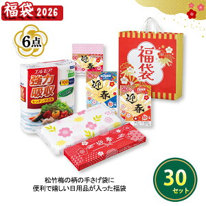 2026N  uj̏|~6_Zbgv 30Zbg ܂Ƃߔ lߍ킹 ܓ pi Lb`pi Օi VN  NNn  Cxg  v[g LOi ei ii 