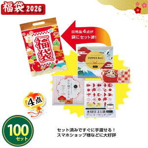 2026N  u^pi4_Zbgv 100Zbg ܂Ƃߔ lߍ킹 Lb`pi Օi pi VN  NNn  Cxg  v[g LOi ei ii T ̑ z