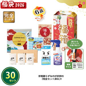 2026N  u 肾pi6_Zbgv 30Zbg ܂Ƃߔ ϔ lߍ킹 Lb`pi pi Օi VN  NNn  Cxg  v[g LOi 