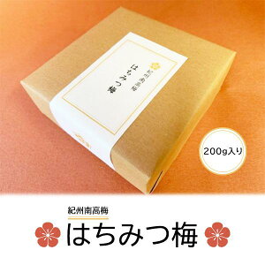 ݂͂~ 200g a̎R IB썂~ ~ I Y ~ Â i Mtg 䒆 Ε hV̓ v[g ̓ 2024